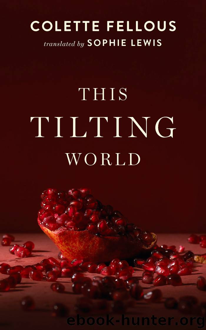 This Tilting World by Colette Fellous
