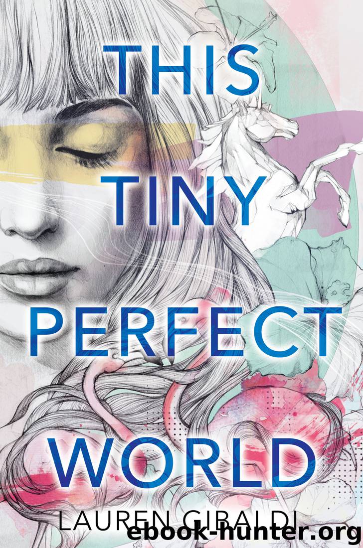 This Tiny Perfect World by Lauren Gibaldi