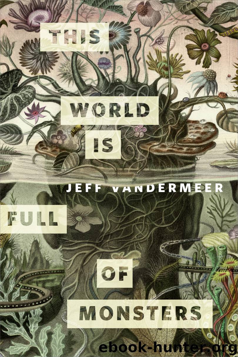 This World is Full of Monsters by Jeff VanderMeer