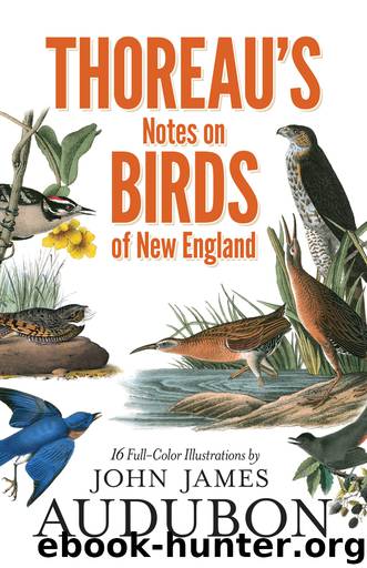 Thoreau's Notes on Birds of New England by Thoreau Henry David; Allen Francis H.;