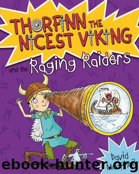 Thorfinn and the Raging Raiders by David MacPhail