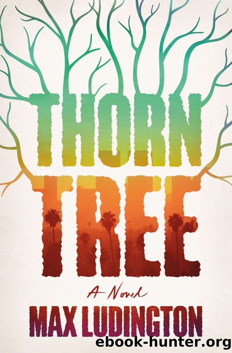 Thorn Tree by Max Ludington