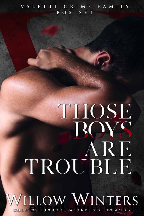 Those Boys Are Trouble: Valetti Crime Family Box Set by Winters Willow