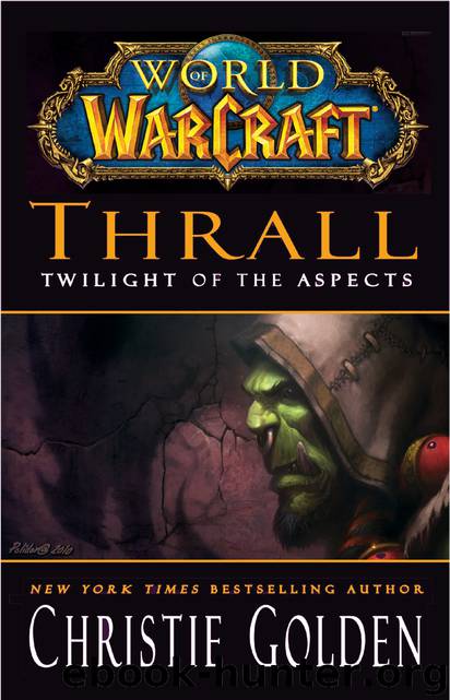 Thrall: Twilight of the Aspects by Christie Golden