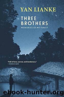 Three Brothers by Yan Lianke