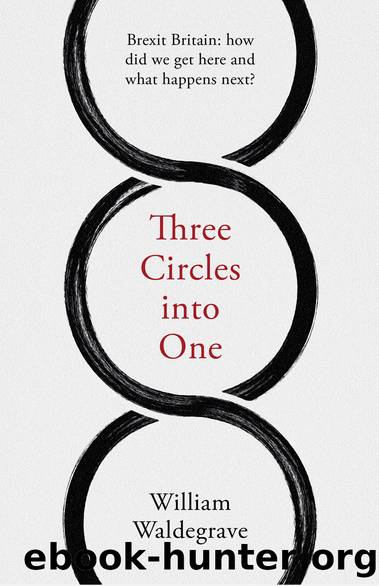 Three Circles into One by William Waldegrave