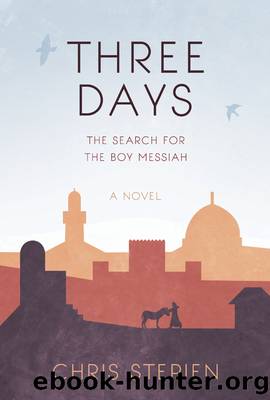 Three Days: the Search for the Boy Messiah by Chris Stepien