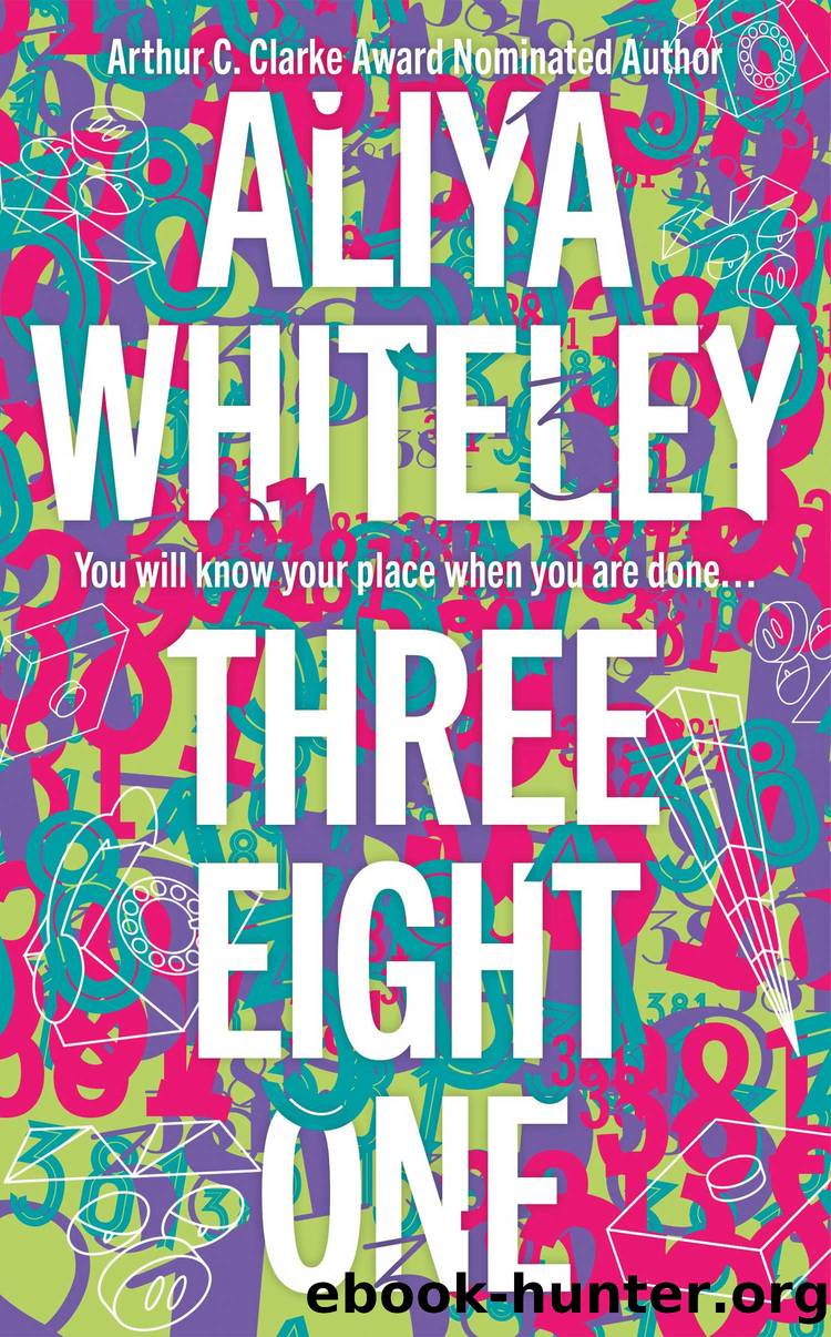 Three Eight One by Aliya Whiteley