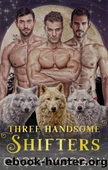 Three Handsome Shifters by Casey Morgan