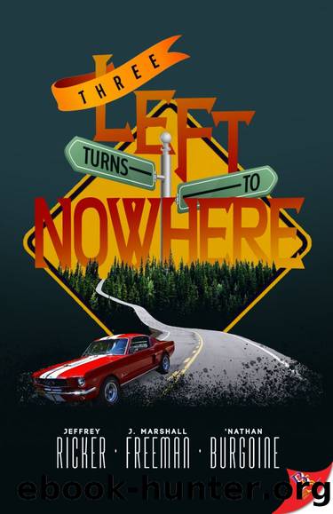Three Left Turns to Nowhere by unknow