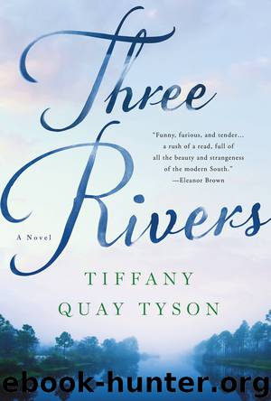 Three Rivers by Tiffany Quay Tyson