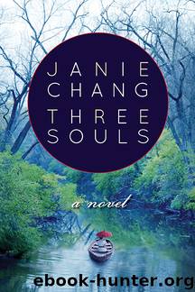Three Souls A Novel by Janie Chang