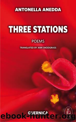 Three Stations by Antonella Anedda
