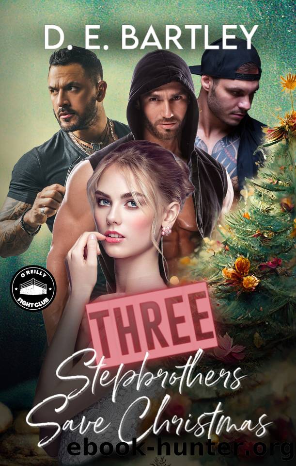 Three Stepbrothers Save Christmas: O'Reilly Fight Club Book Four by D. E. Bartley