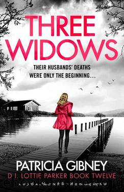 Three Widows: An unputdownable crime thriller with a jaw-dropping twist (Detective Lottie Parker Book 12) by Patricia Gibney
