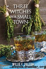 Three Witches in a Small Town by Willie E. Dalton