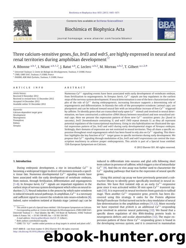 Three calcium-sensitive genes, fus, brd3 and wdr5, are highly expressed in neural and renal territories during amphibian development by A. Bibonne & I. Néant & J. Batut & C. Leclerc & M. Moreau & T. Gilbert