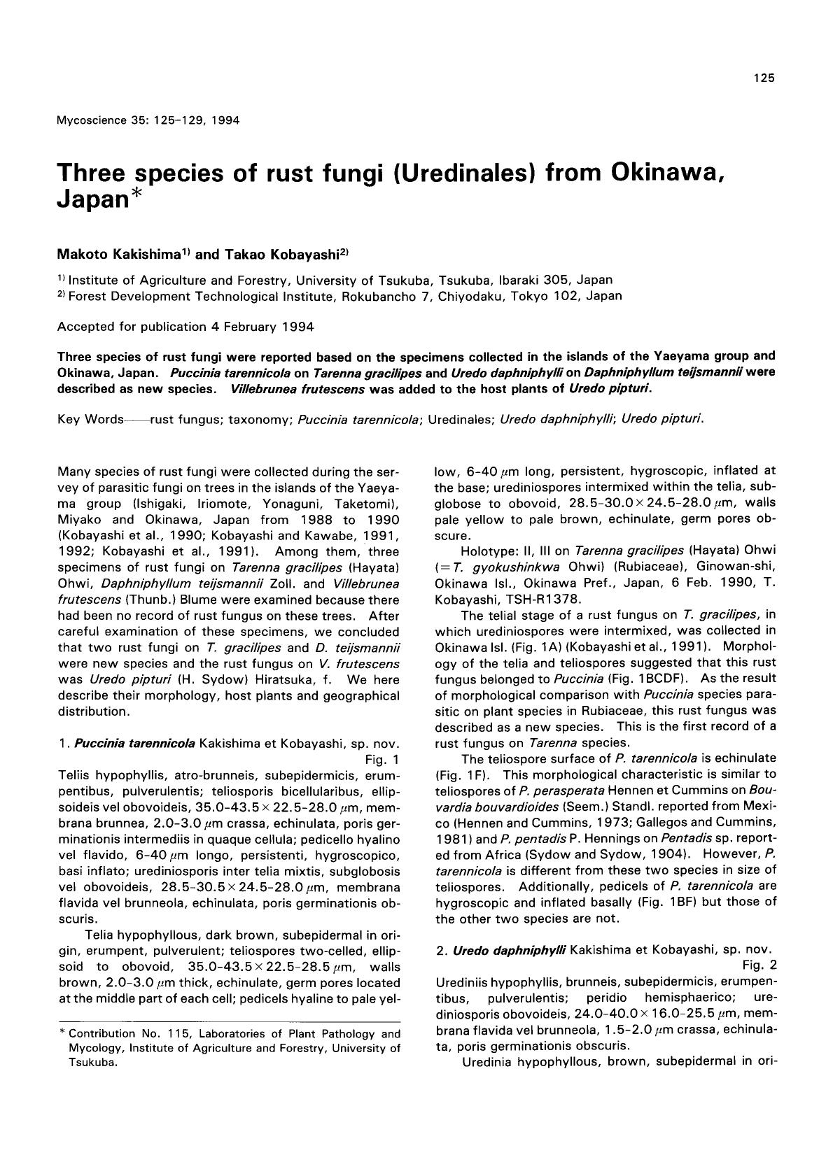 Three species of rust fungi (Uredinales) from Okinawa, Japan by Unknown
