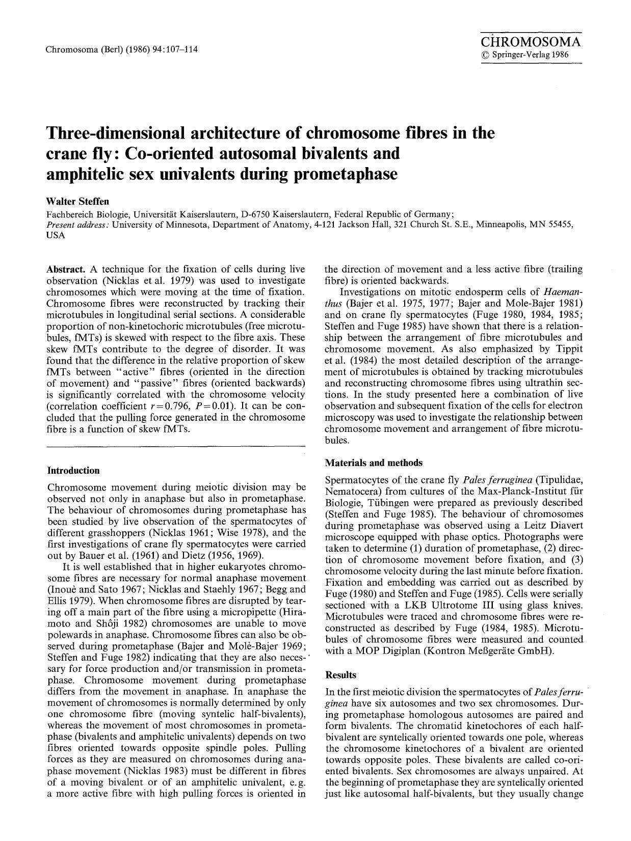 Three-dimensional architecture of chromosome fibres in the crane fly: co-oriented autosomal bivalents and amphitelic sex univalents during prometaphase by Unknown