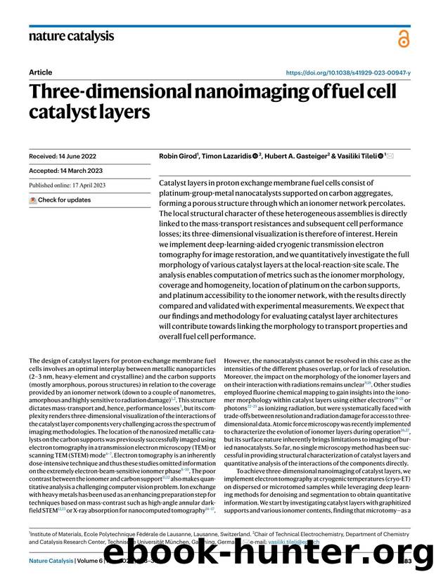 Three-dimensional nanoimaging of fuel cell catalyst layers by Robin Girod & Timon Lazaridis & Hubert A. Gasteiger & Vasiliki Tileli