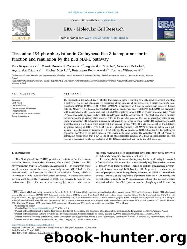 Threonine 454 phosphorylation in Grainyhead-like 3 is important for its function and regulation by the p38 MAPK pathway by unknow