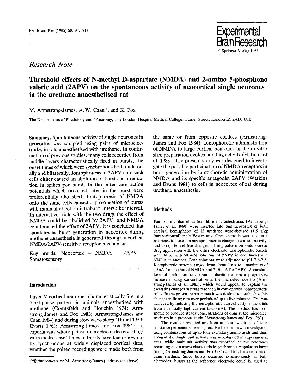 Threshold effects of N-methyl D-aspartate (NMDA) and 2-amino 5-phosphono valeric acid (2APV) on the spontaneous activity of neocortical single neurones in the urethane anaesthetised rat by Unknown