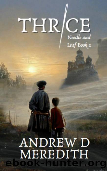 Thrice by Andrew D Meredith