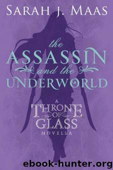 Throne of Glass 00.4 - The Assassin and the Underworld by Sarah J. Maas