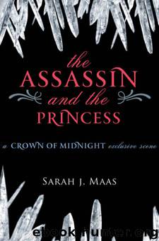 Throne of Glass 01.1 - The Assassin and the Princess by Maas Sarah J