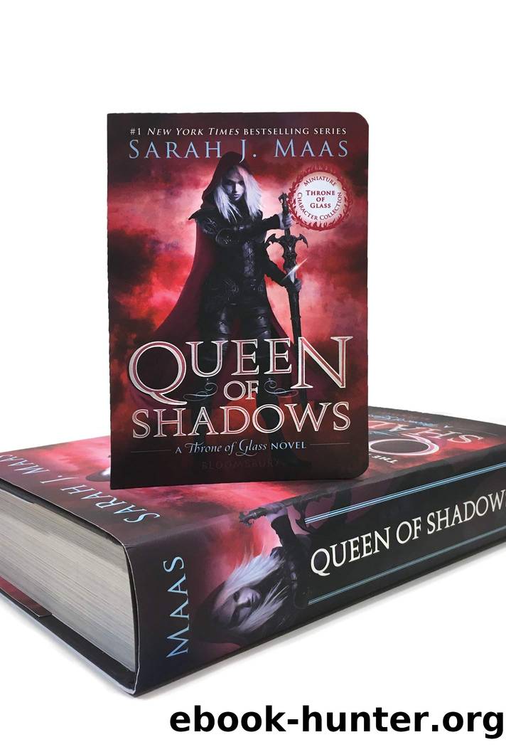 Throne of Glass 4 - Queen of Shadows by Sarah J. Maas