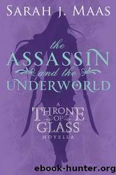 Throne of Glass Companion 3 - The Assassin and the Underworld by Sarah J. Maas