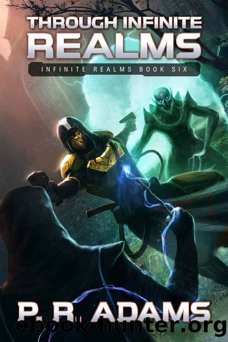 Through Infinite Realms by Adams P R