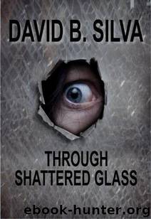 Through Shattered Glass by David B Silva