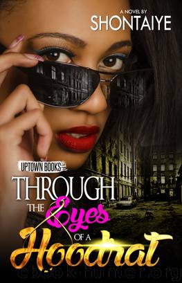 Through The Eyes of A Hoodrat by Shontaiye