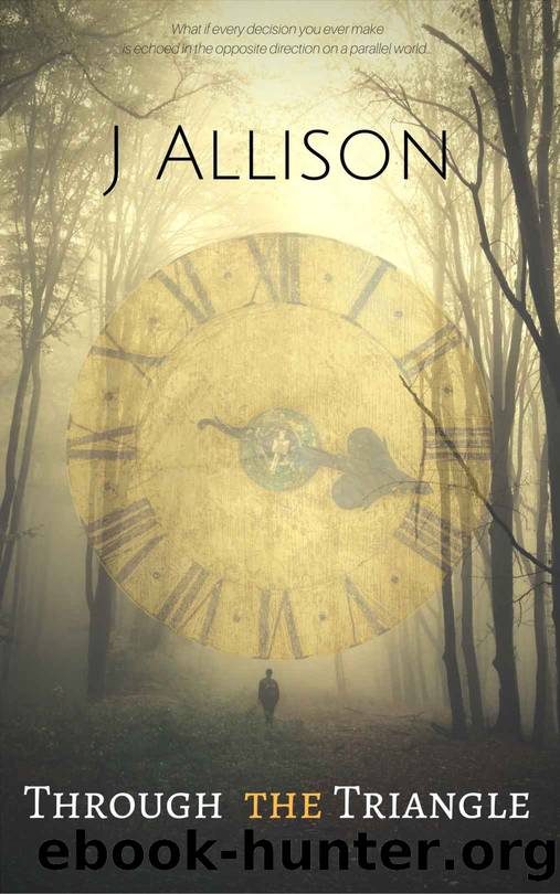 Through The Triangle by J Allison