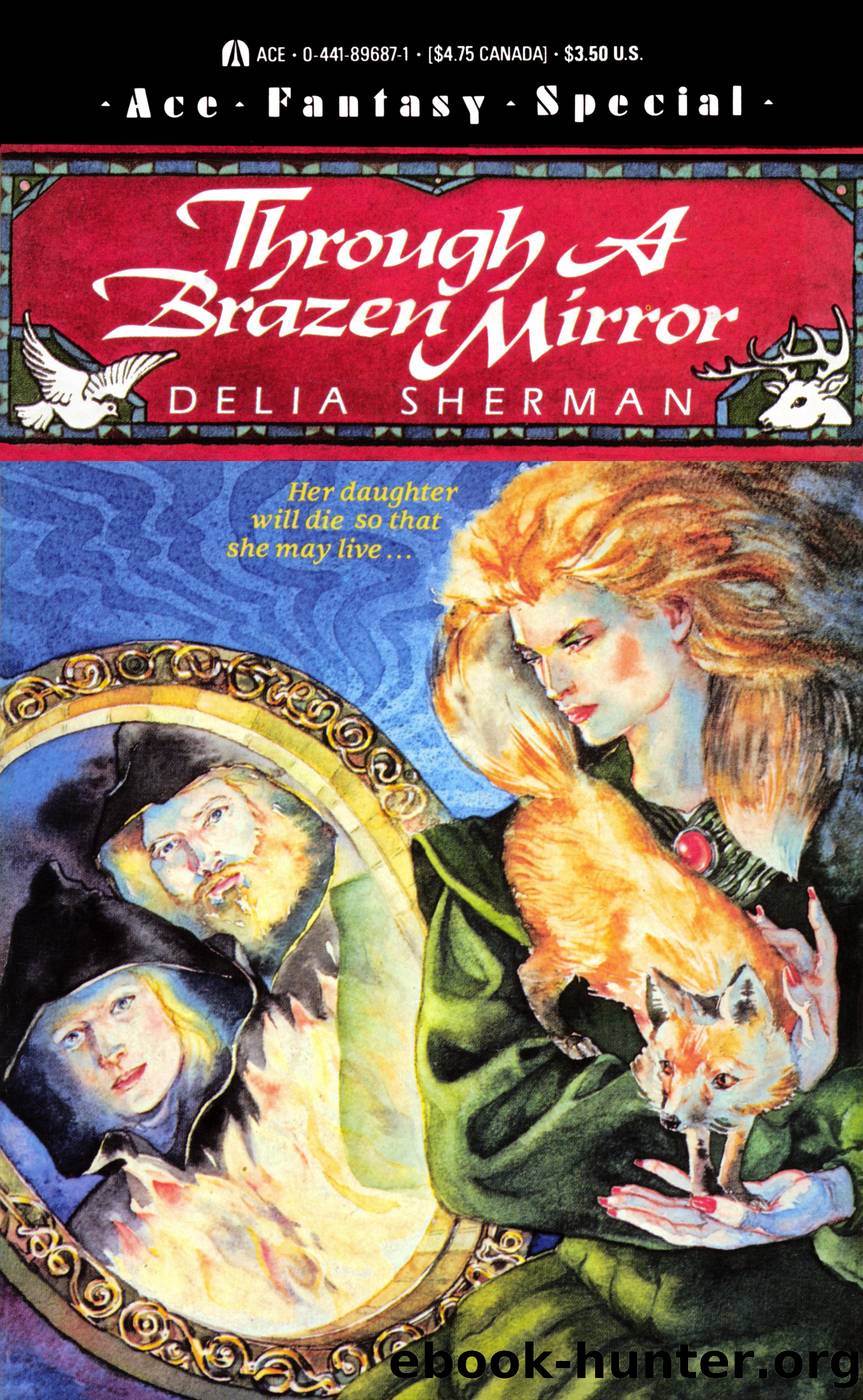 Through a Brazen Mirror by Sherman Delia