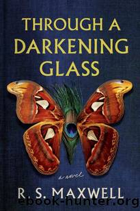 Through a Darkening Glass: A Novel by R. S. Maxwell