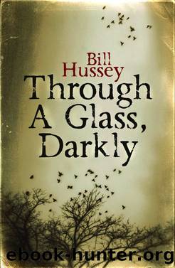 Through a Glass Darkly by Bill Hussey