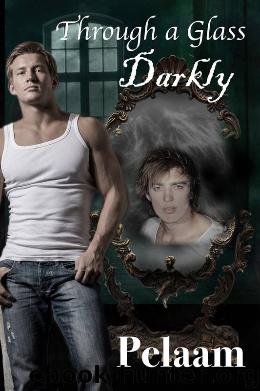 Through a Glass Darkly by Pelaam