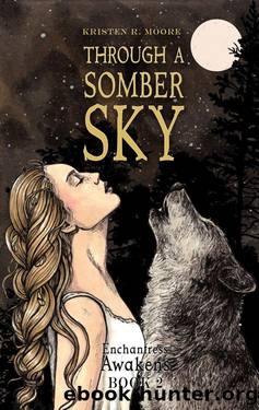 Through a Somber Sky: Enchantress Awakens Book Two by Kristen R. Moore