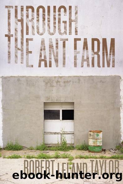 Through the Ant Farm by Robert Leland Taylor