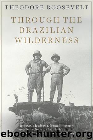 Through the Brazilian Wilderness by Theodore Roosevelt