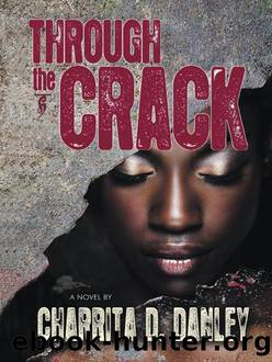 Through the Crack by Charrita D Danley