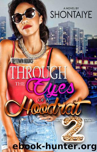 Through the Eyes of a Hoodrat 2 by Shontaiye