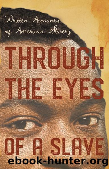 Through the Eyes of a Slave - Written Accounts of American Slavery by Various