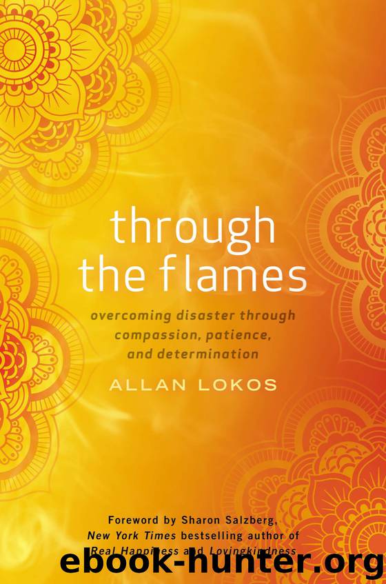 Through the Flames by Allan Lokos