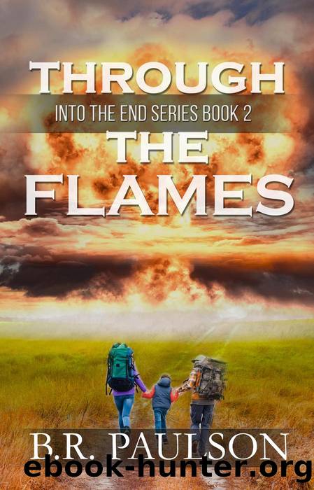 Through the Flames by B.R. Paulson
