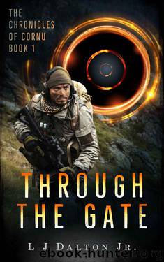 Through the Gate by L J Dalton Jr