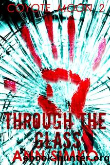 Through the Glass by Ann Simko