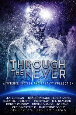 Through the Never: a Science Fiction and Fantasy Collection by unknow